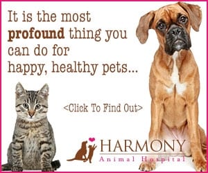 Oral health treatment for your dog and cat.