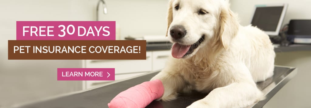 Trupanion 30-Day Free Pet Insurance Offer