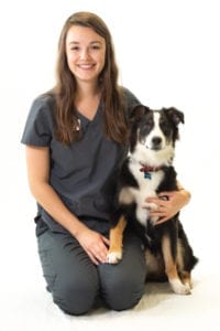 Harmony Animal Hospital - Carlie Kissell, Tech Assistant