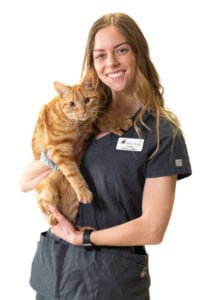 Harmony Animal Hospital - Lauren Huddleston, Tech Assistant