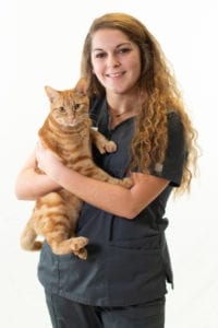 Harmony Animal Hospital - Madison Hellner, Tech Assistant