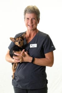 Harmony Animal Hospital - Shirley Stoltenberg, Veterinary Nurse