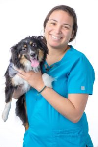 Harmony Animal Hospital - Brittany Garcia, CSR