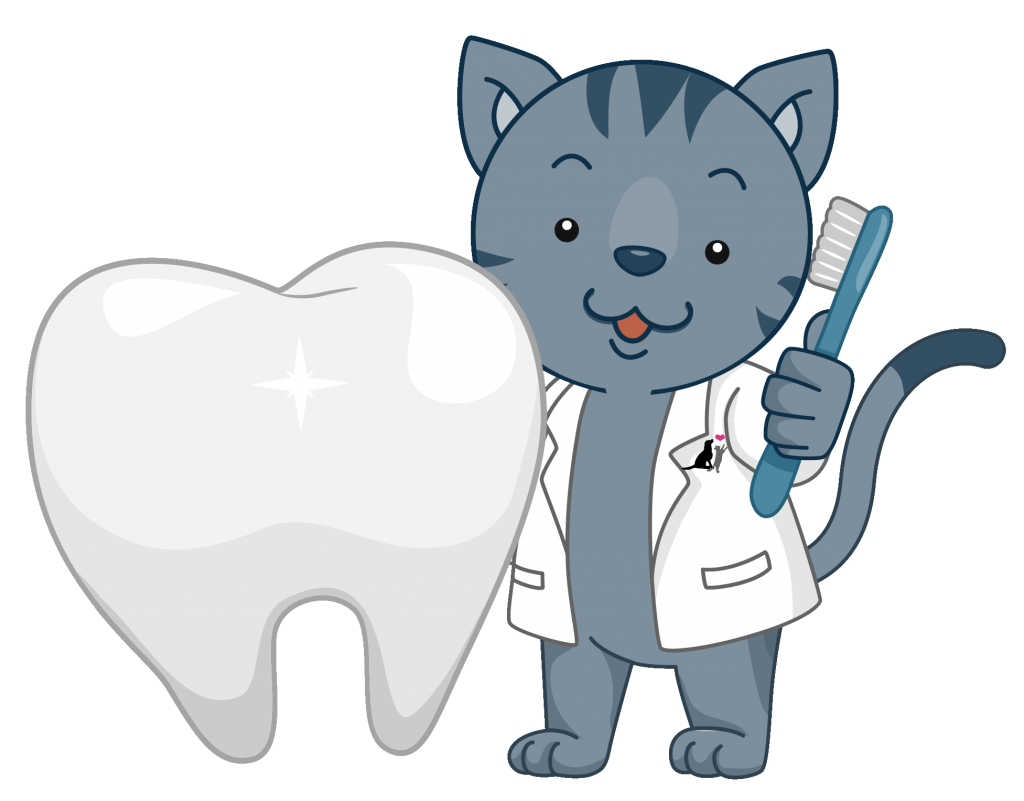 Proactive Dental Health For Kittens Harmony Animal Hospital