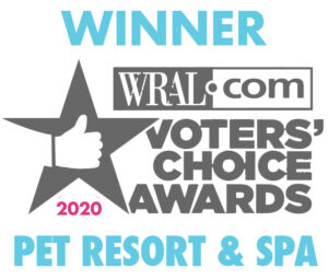 WINNER WRAL 2020 Pet Resort & Spa