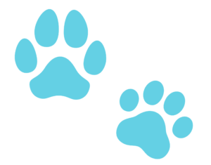 CAT AND DOG pawprint