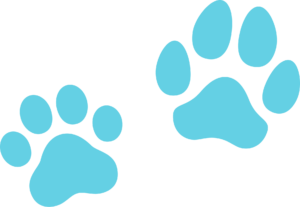 CAT AND DOG pawprints