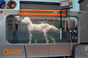 Oasis Rehab for canines