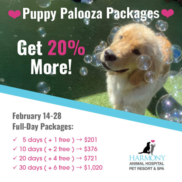 Puppy Palooza Packages